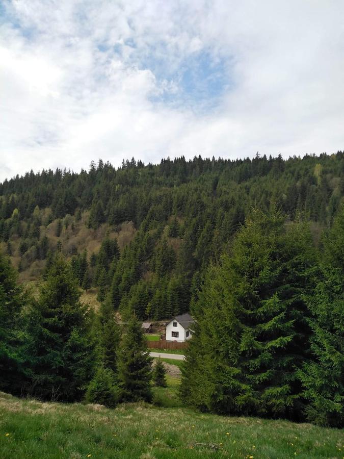 Csillag Kulcsoshaz Villa Георгени Екстериор снимка
