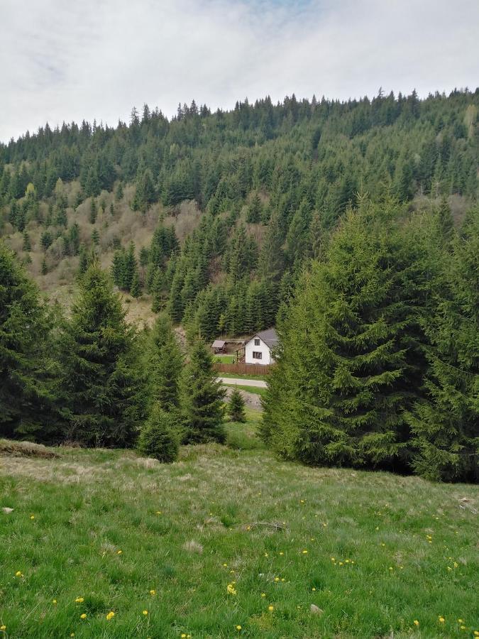 Csillag Kulcsoshaz Villa Георгени Екстериор снимка