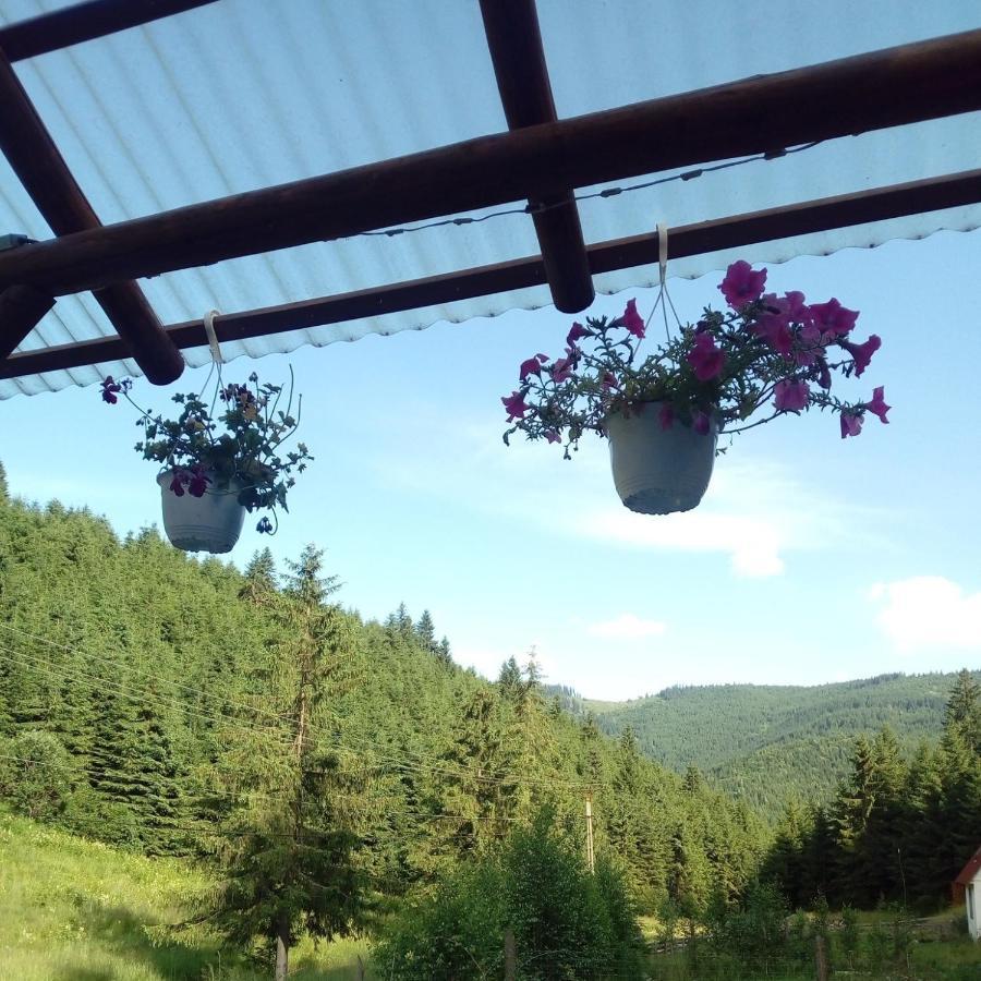 Csillag Kulcsoshaz Villa Георгени Екстериор снимка
